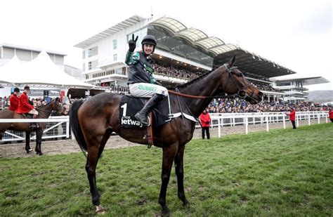 cheltenham favourites today|Iba pa.